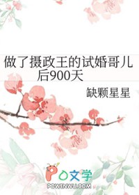做了摄政王的试婚哥儿后900天全文阅读