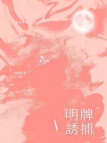 明牌诱捕全文阅读