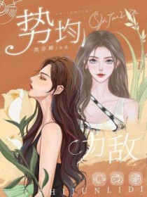 势均力敌全文阅读