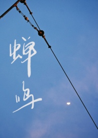 蝉鸣似暴风雨全文阅读