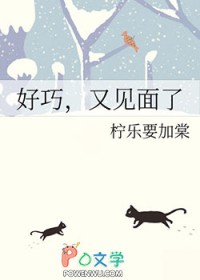 好巧,又见面了全文阅读