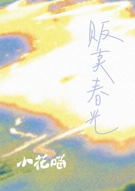 贩卖春光全文阅读