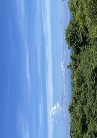 錯過的青春全文阅读