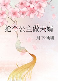 抢个公主做夫婿全文阅读