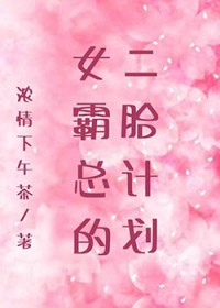 女霸总的二胎计划全文阅读
