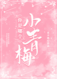 你是哪个小青梅全文阅读