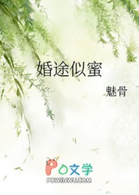 婚途似蜜全文阅读
