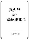 真少爷是个高危职业全文阅读