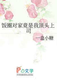 饭圈对家竟是我顶头上司全文阅读