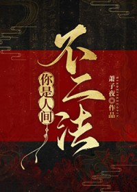 你是人间不二法全文阅读