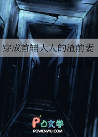 穿成首辅大人的渣前妻全文阅读