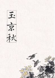 玉京秋(古言 产乳)全文阅读