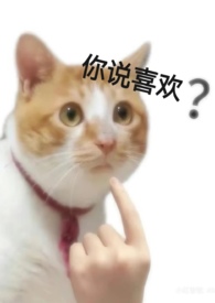 抱歉,爱不起(np,h)全文阅读