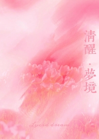 清醒·梦境(师生不伦1V1)全文阅读