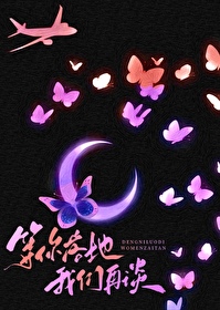 等你落地我们再谈全文阅读