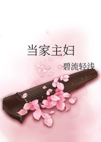 当家主妇全文阅读