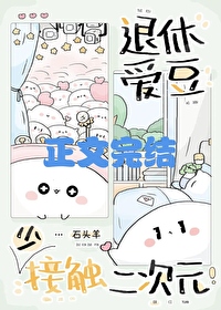 退休爱豆少接触二次元全文阅读