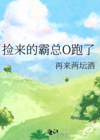 捡来的霸总O跑了全文阅读
