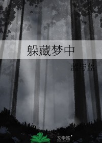 躲藏梦中全文阅读