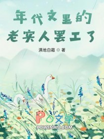 年代文里的老实人罢工了全文阅读