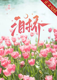 泪桥全文阅读