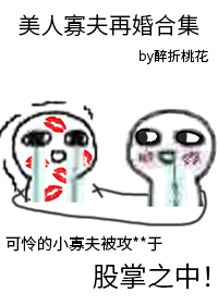 美人寡夫再婚合集全文阅读