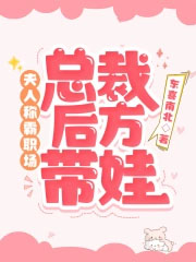 夫人称霸职场,总裁后方带娃全文阅读