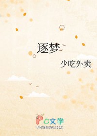逐梦全文阅读