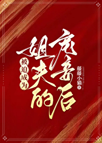 被迫成为姐夫的宠妾后全文阅读