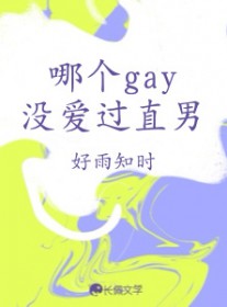 哪个gay没爱过直男全文阅读