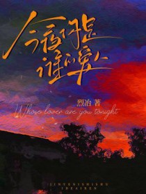 今夜你是谁的爱人全文阅读
