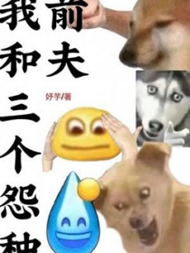 我和三个怨种前夫全文阅读