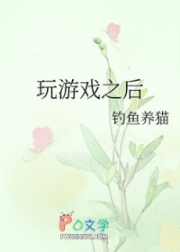 玩游戏之后全文阅读