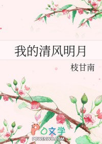 我的清风明月全文阅读