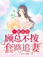 一胎双喜:顾总不按套路追妻全文阅读