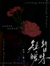 短暂暧昧全文阅读