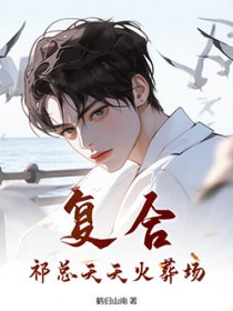 复合?祁总天天火葬场全文阅读