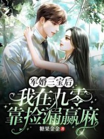 军婚三宝后,我在九零靠捡漏赢麻全文阅读
