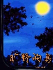 旷野的鸟全文阅读