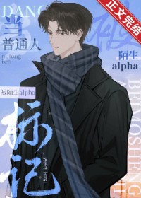 当普通人怀了陌生alpha的崽全文阅读