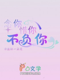 念你惜你不负你全文阅读