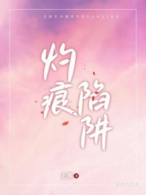 灼痕陷阱全文阅读
