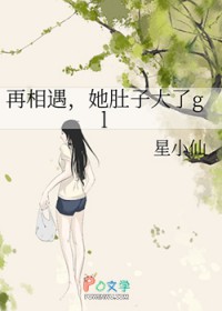 再相遇,她肚子大了gl全文阅读
