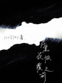 在黑夜倾覆之前全文阅读