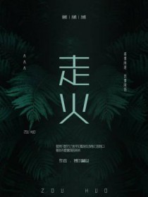 走火全文阅读