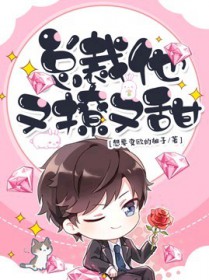 总裁他又撩又甜全文阅读
