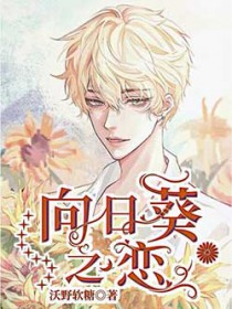 向日葵之恋全文阅读