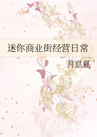迷你商业街经营日常全文阅读